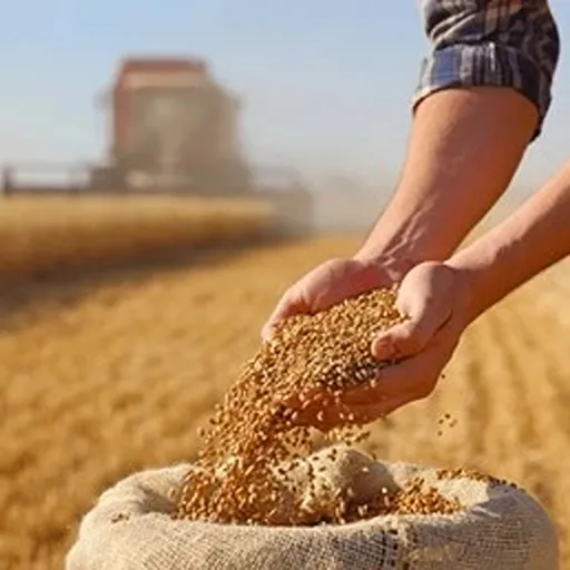 Agricultural and Grain Handling
