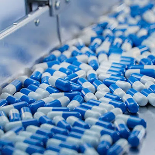 Pharmaceutical Industry